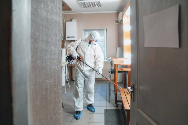 Best Residential Mold Inspection & Testing  in Helena West Side, MT