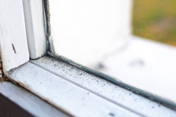 Best Asbestos and Lead Testing During Mold Inspection  in Helena West Side, MT